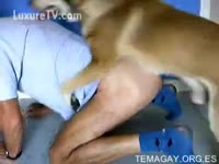 [ Beastiality Porn ] Naughty fellow got drilled by his dog